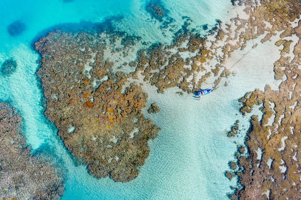 Great Barrier Reef